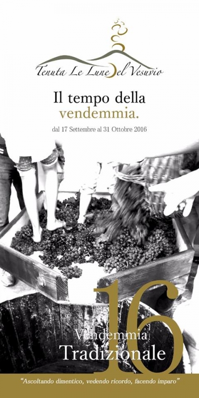 Il Tempo della Vendemmia